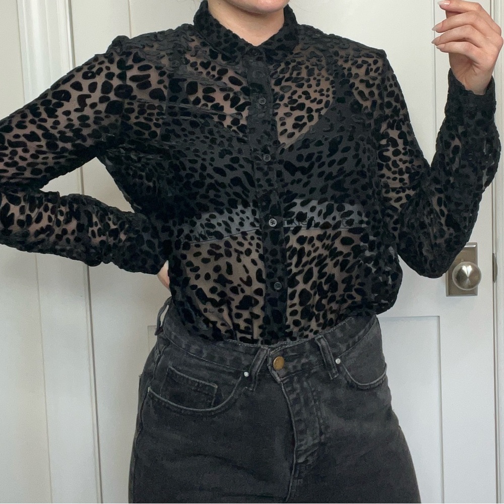 Sheer Velvet Leopard Button Down Blouse